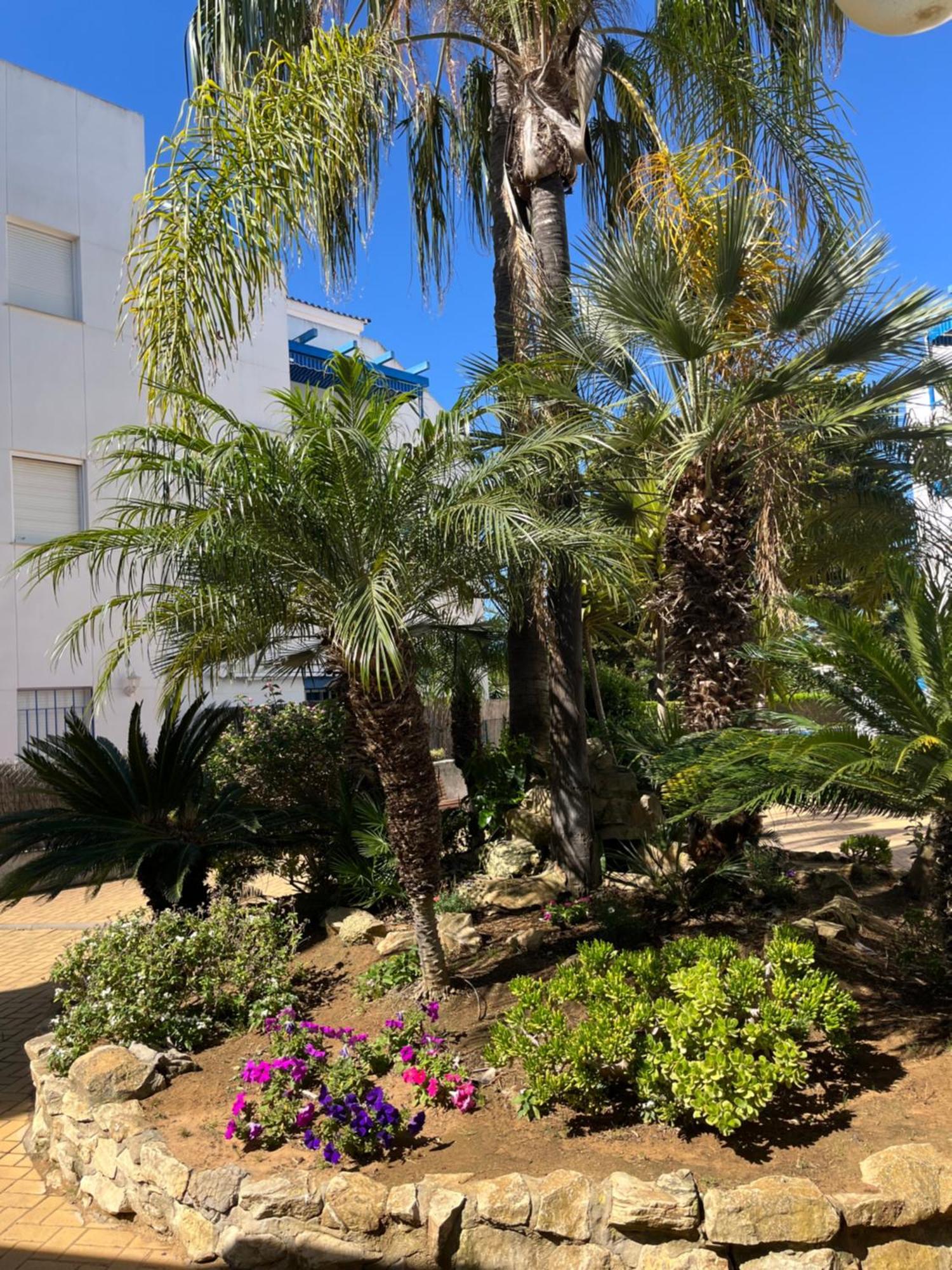 Apartamento En Costa Ballena, Urb. Playa Ballena Кадис Экстерьер фото